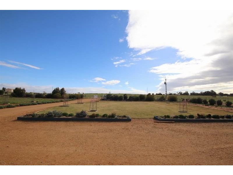 39 Magpie Crescent, Mannum SA 5238