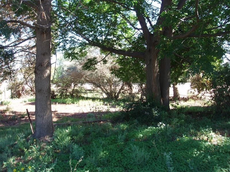 Lot 103 Swan Reach Road, Nildottie SA 5238