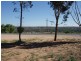 Lot 103 Swan Reach Road, Nildottie SA 5238