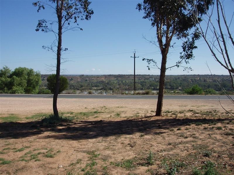 Lot 103 Swan Reach Road, Nildottie SA 5238