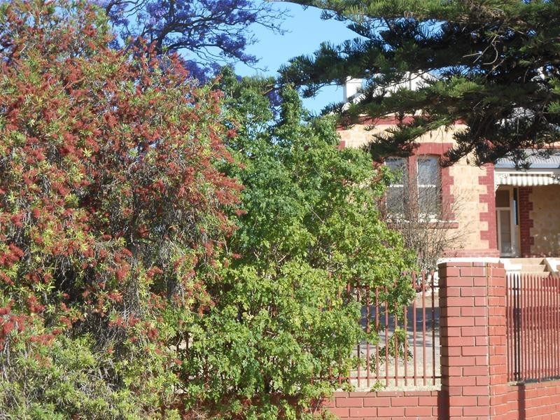 3 Boomerang Avenue, Mannum SA 5238