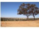 Lot 14 ‘Aruma River Resort’ Cliff View Drive, Walker Flat SA 5238