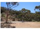 Lot 14 ‘Aruma River Resort’ Cliff View Drive, Walker Flat SA 5238