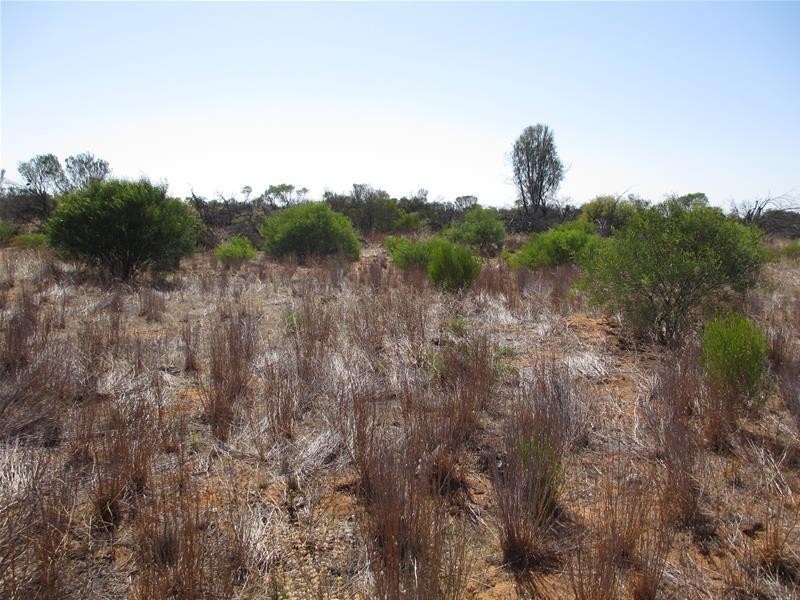 Lot 2 Hunter Road, Swan Reach SA 5354