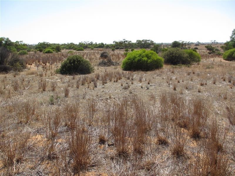 Lot 2 Hunter Road, Swan Reach SA 5354