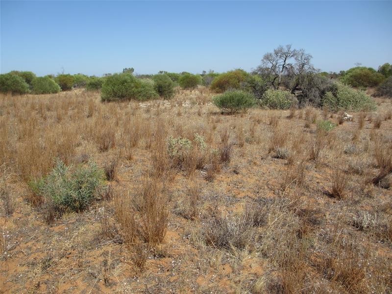 Lot 2 Hunter Road, Swan Reach SA 5354