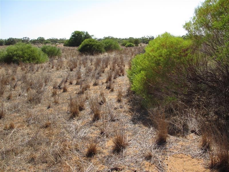 Lot 2 Hunter Road, Swan Reach SA 5354