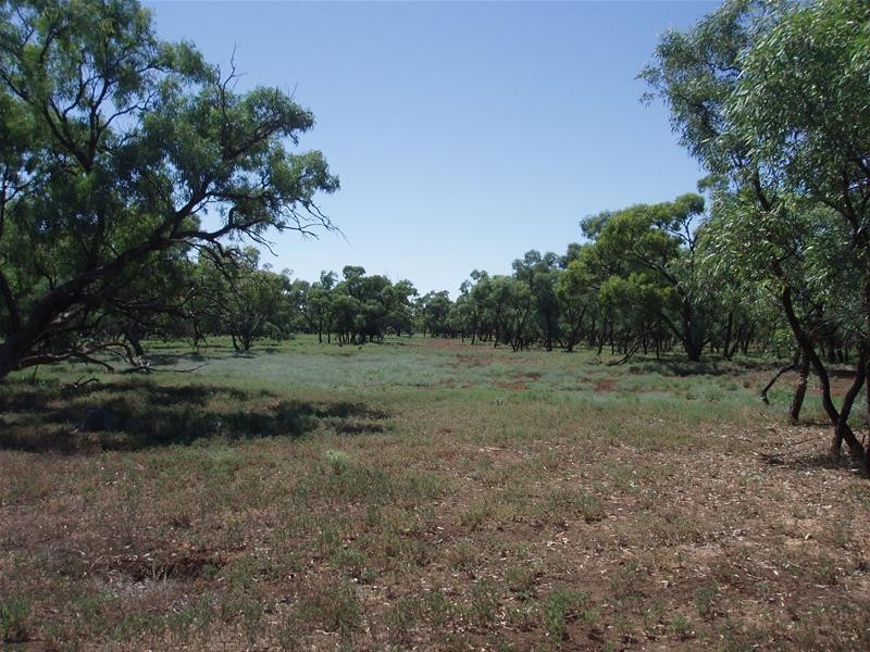 187N Spurling Road, Sandleton SA 5356