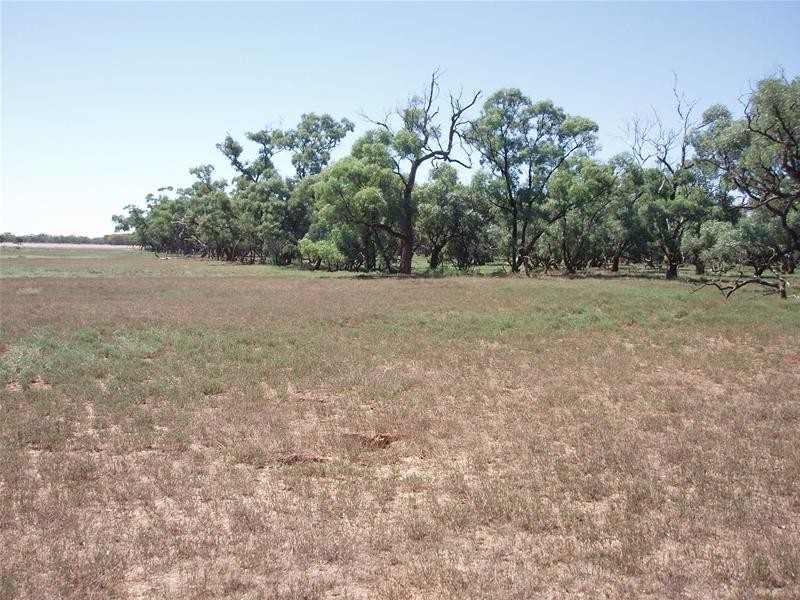 187N Spurling Road, Sandleton SA 5356