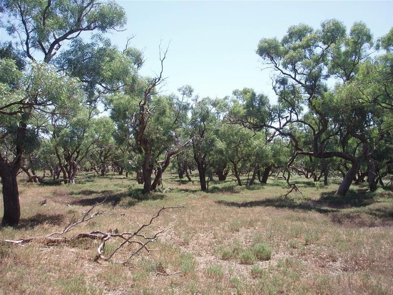 187N Spurling Road, Sandleton SA 5356