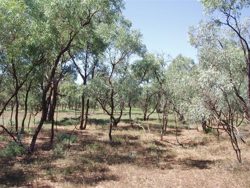 187N Spurling Road, Sandleton SA 5356