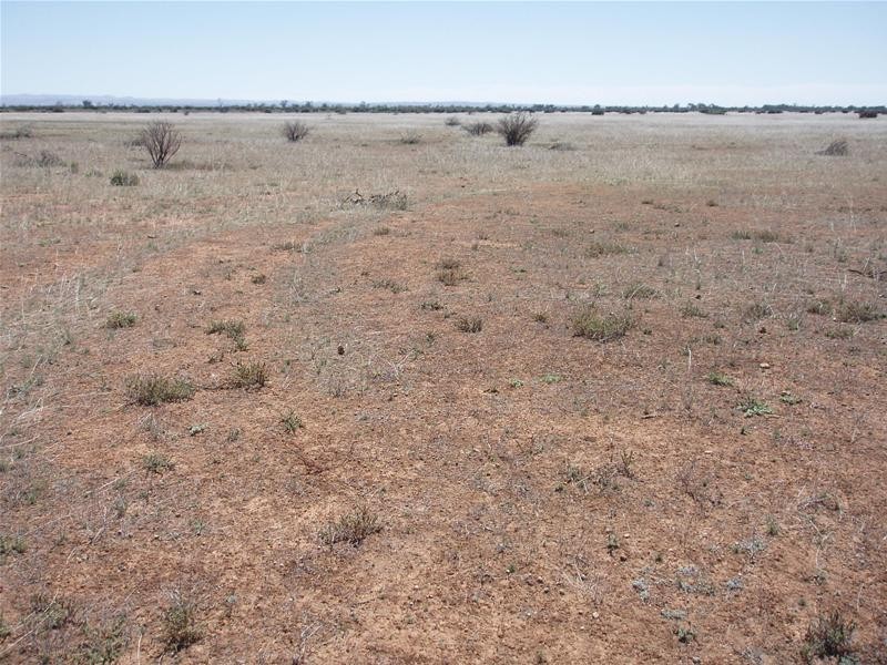 187N Spurling Road, Sandleton SA 5356