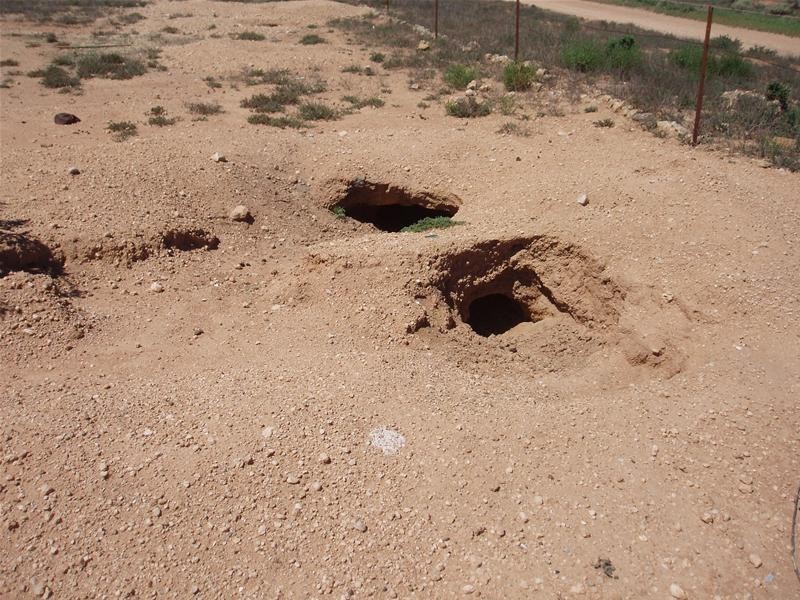 187N Spurling Road, Sandleton SA 5356