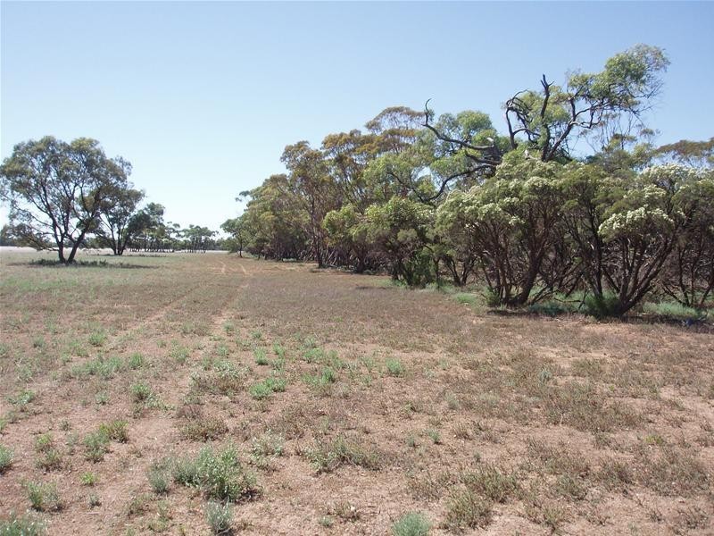 187N Spurling Road, Sandleton SA 5356