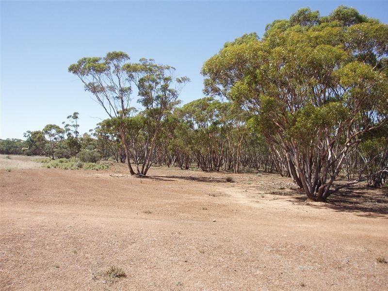 187N Spurling Road, Sandleton SA 5356