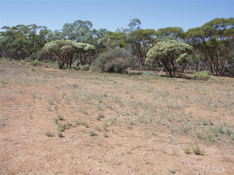 187N Spurling Road, Sandleton SA 5356