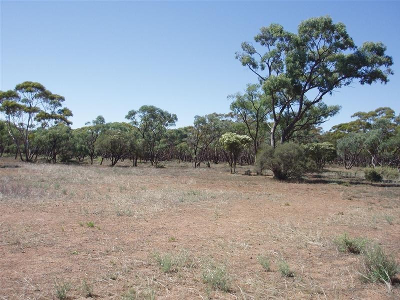 187N Spurling Road, Sandleton SA 5356