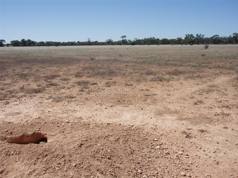 187N Spurling Road, Sandleton SA 5356