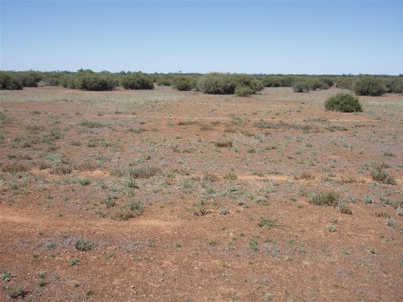 187N Spurling Road, Sandleton SA 5356