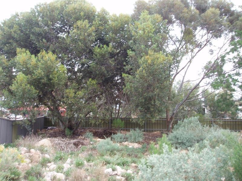 4059 Hunter Road, Nildottie SA 5238