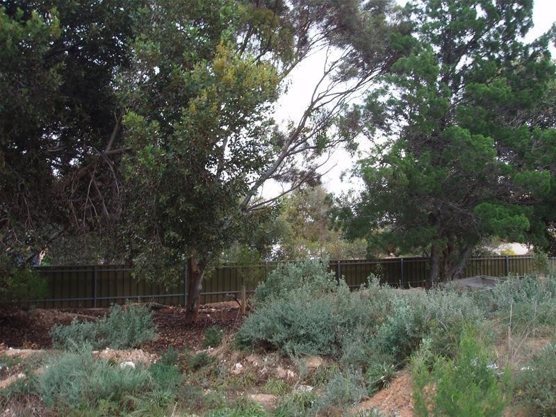 4059 Hunter Road, Nildottie SA 5238