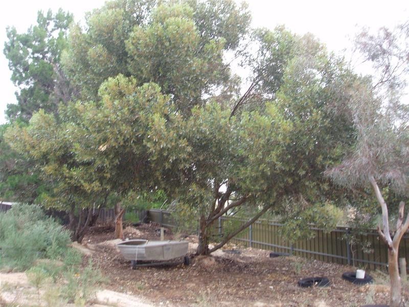 4059 Hunter Road, Nildottie SA 5238