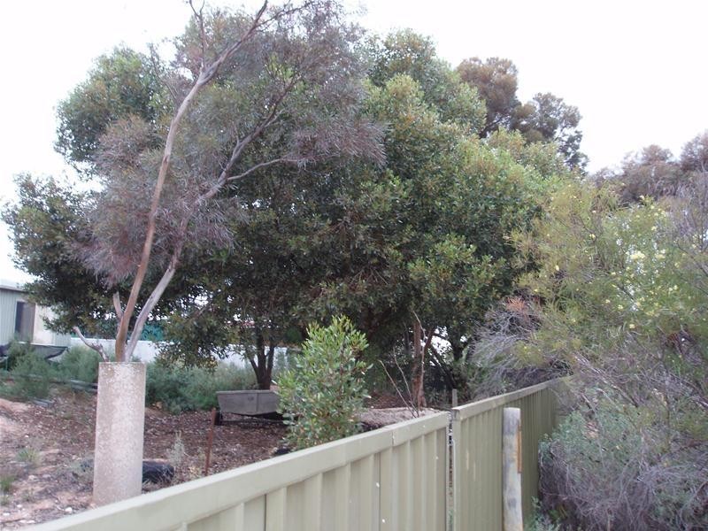 4059 Hunter Road, Nildottie SA 5238