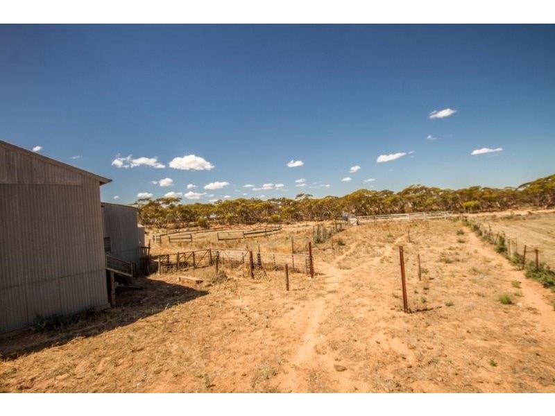 450 Monkey Corner Road, Angas Valley SA 5238