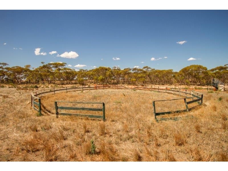 450 Monkey Corner Road, Angas Valley SA 5238