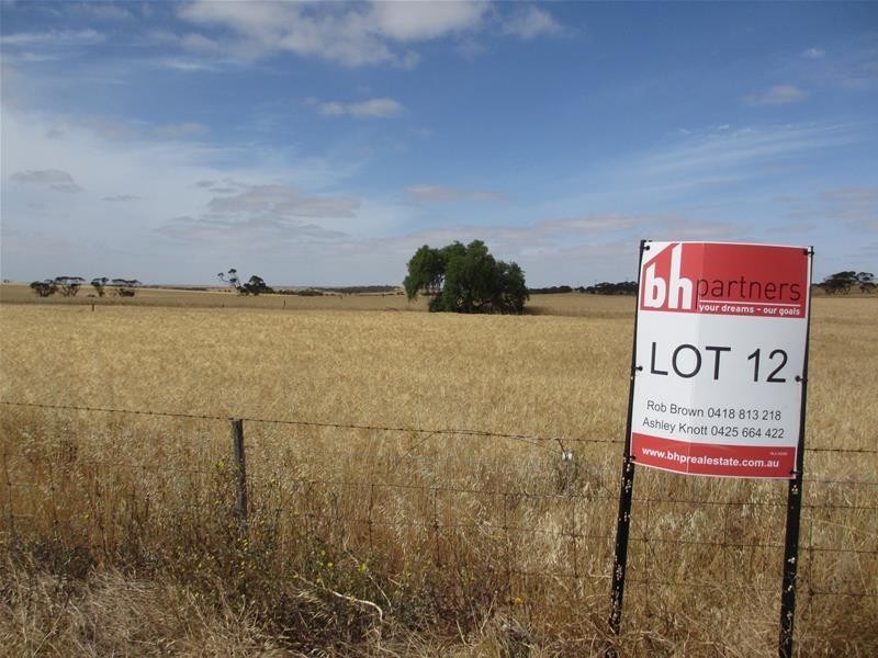 Lot 12 Randell Road, Mannum SA 5238