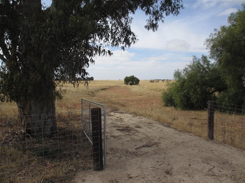 Lot 12 Randell Road, Mannum SA 5238
