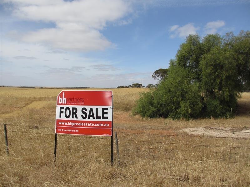 Lot 12 Randell Road, Mannum SA 5238