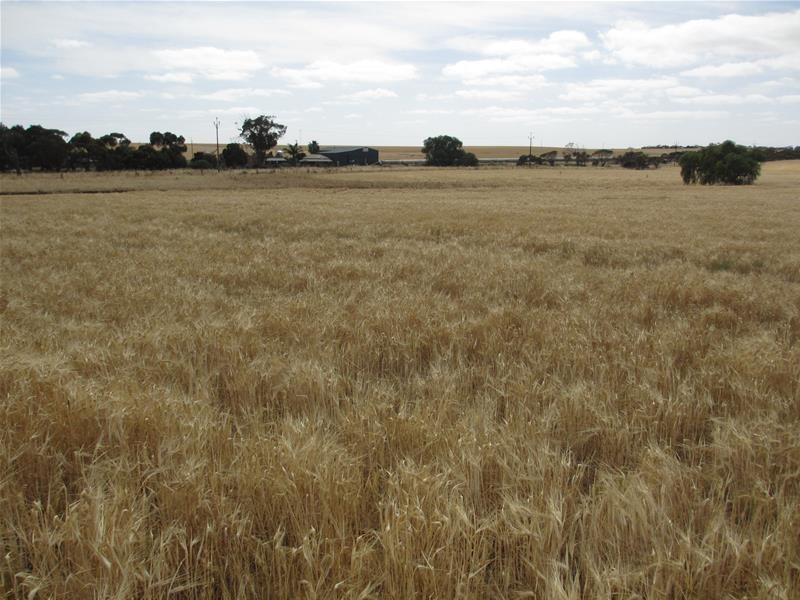 Lot 12 Randell Road, Mannum SA 5238