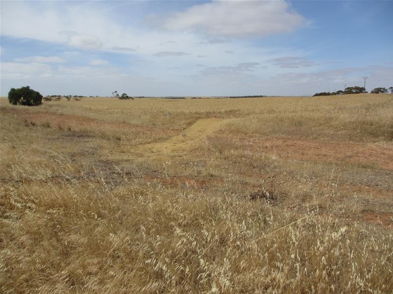 Lot 12 Randell Road, Mannum SA 5238