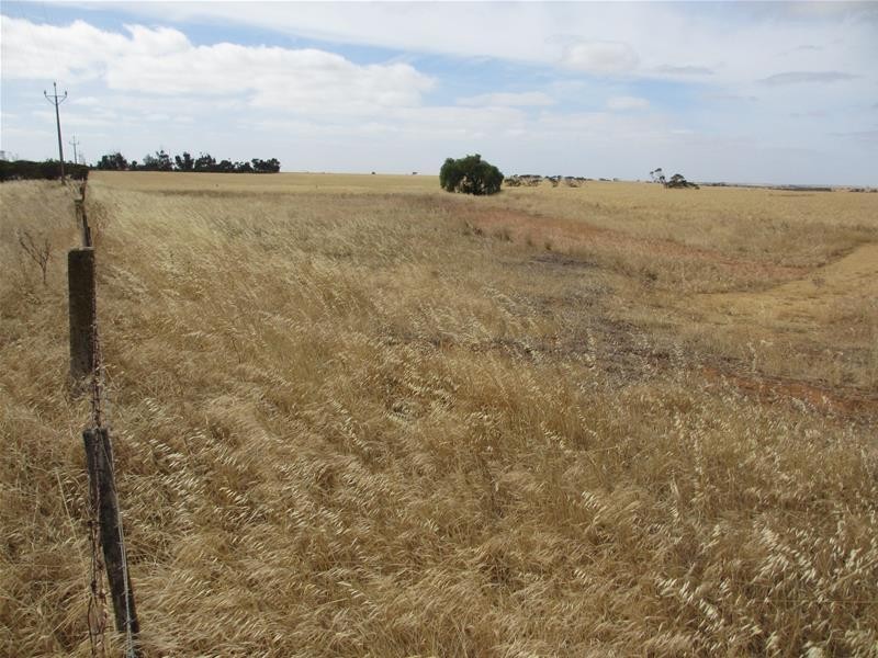 Lot 12 Randell Road, Mannum SA 5238