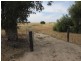 Lot 12 Randell Road, Mannum SA 5238