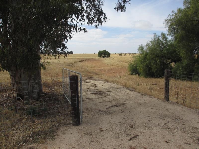 Lot 12 Randell Road, Mannum SA 5238