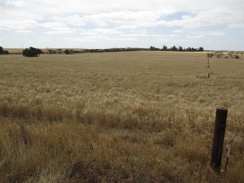 Lot 12 Randell Road, Mannum SA 5238