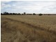 Lot 12 Randell Road, Mannum SA 5238