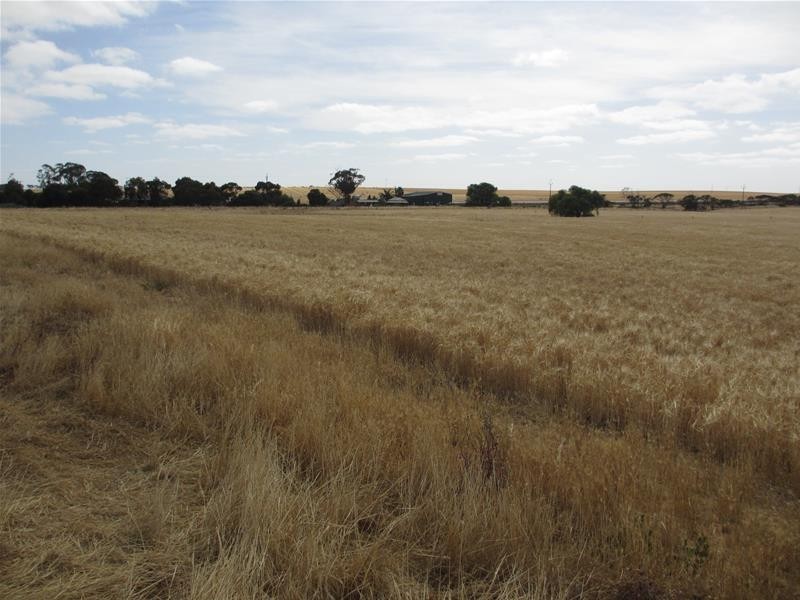 Lot 12 Randell Road, Mannum SA 5238