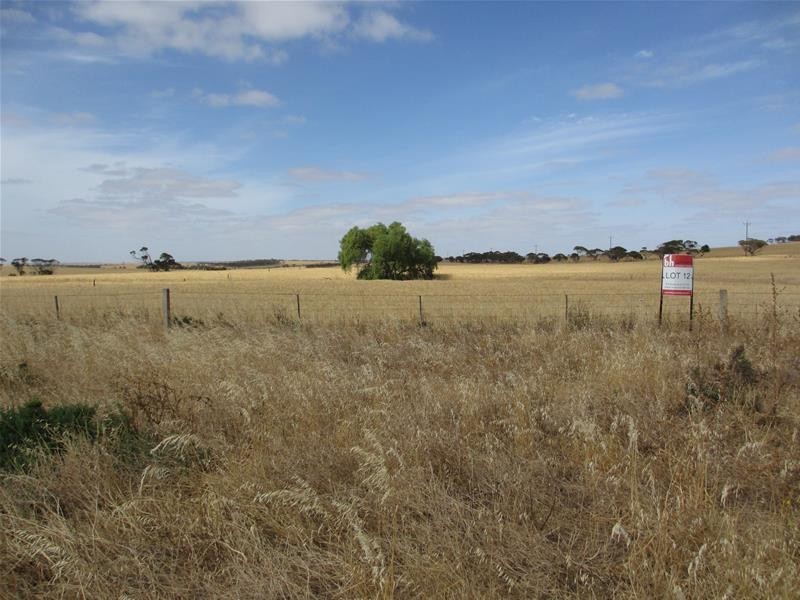 Lot 12 Randell Road, Mannum SA 5238