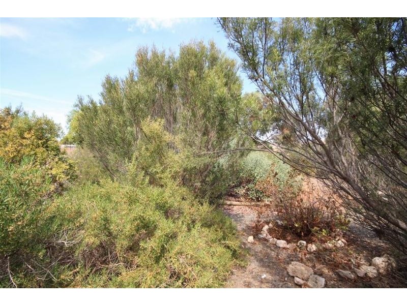 Lot 2 Curio Road, Cambrai SA 5353