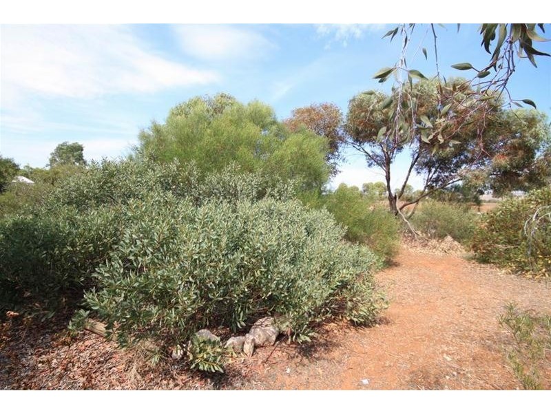 Lot 2 Curio Road, Cambrai SA 5353