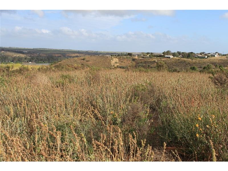Lot 20 Orkney Road, Mannum SA 5238