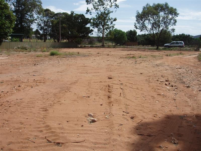 26 Day Street, Nildottie SA 5238