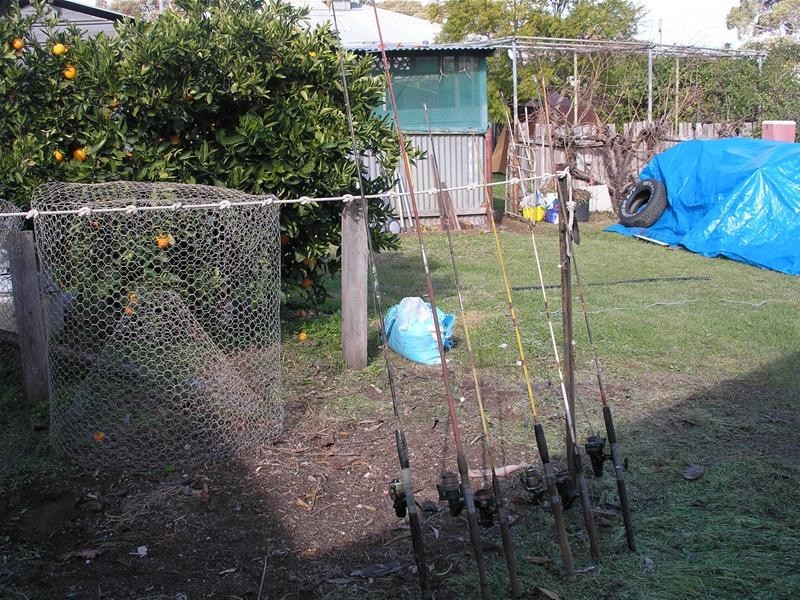 29 Walker Avenue, Mannum SA 5238