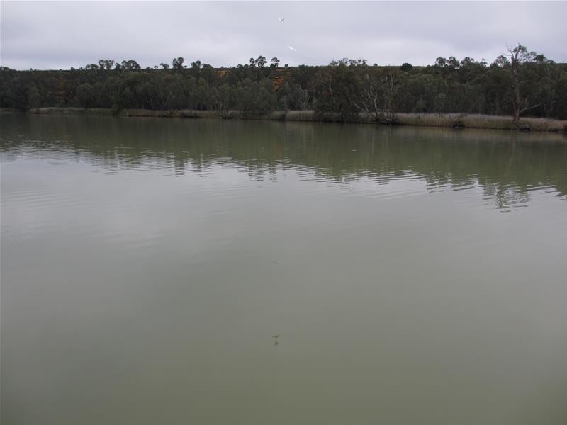 66 River Reserve Road MARKS LANDING at, Swan Reach SA 5354