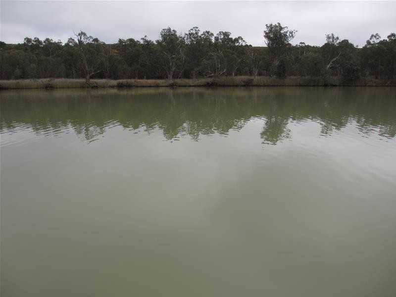 66 River Reserve Road MARKS LANDING at, Swan Reach SA 5354