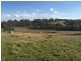 Lot 13 Wiles Fire Track, Wistow SA 5251