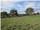 Lot 13 Wiles Fire Track, Wistow SA 5251